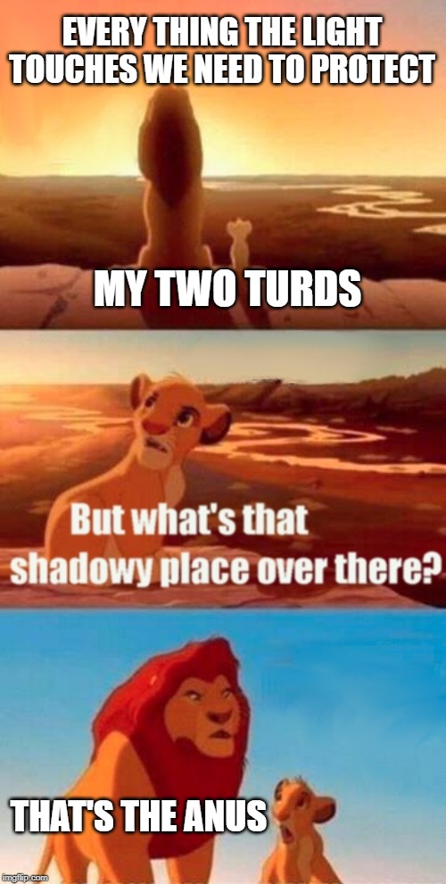 Simba Shadowy Place | EVERY THING THE LIGHT TOUCHES WE NEED TO PROTECT; MY TWO TURDS; THAT'S THE ANUS | image tagged in memes,simba shadowy place | made w/ Imgflip meme maker