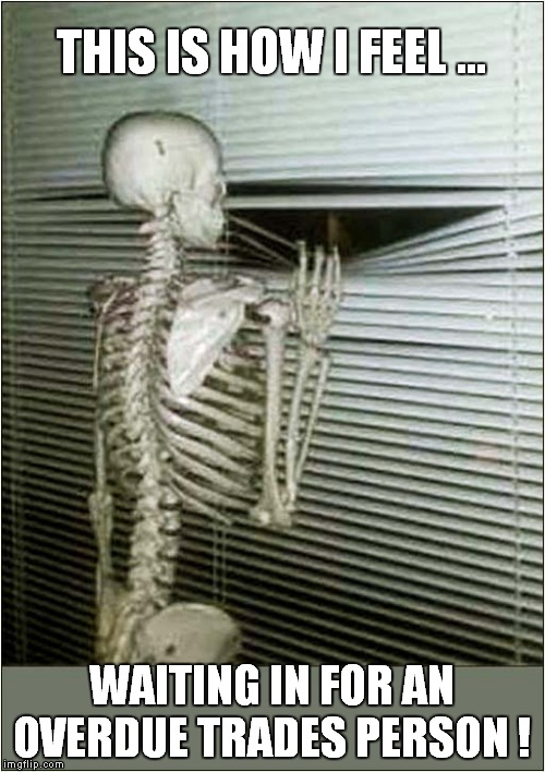 For Goodness Sake ... Will They Ever Turn Up ! | THIS IS HOW I FEEL ... WAITING IN FOR AN OVERDUE TRADES PERSON ! | image tagged in fun,skeleton waiting | made w/ Imgflip meme maker