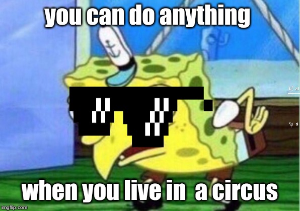 Mocking Spongebob Meme | you can do anything; when you live in  a circus | image tagged in memes,mocking spongebob | made w/ Imgflip meme maker