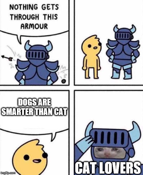 Nothing Gets Through This Armour | DOGS ARE SMARTER THAN CAT; CAT LOVERS | image tagged in nothing gets through this armour | made w/ Imgflip meme maker