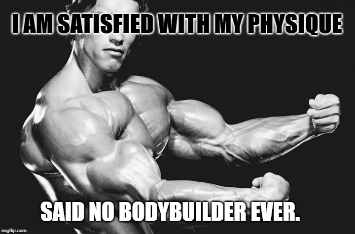 I am satisfied with my physique | I AM SATISFIED WITH MY PHYSIQUE; SAID NO BODYBUILDER EVER. | image tagged in arnold schwarzenegger,muscle,physique,bodybuilder | made w/ Imgflip meme maker