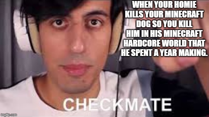 Checkmate | WHEN YOUR HOMIE KILLS YOUR MINECRAFT DOG SO YOU KILL HIM IN HIS MINECRAFT HARDCORE WORLD THAT HE SPENT A YEAR MAKING. | image tagged in checkmate | made w/ Imgflip meme maker