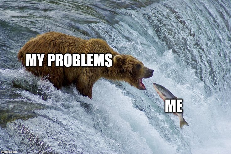 Bear catching salmon | MY PROBLEMS; ME | image tagged in bear catching salmon | made w/ Imgflip meme maker