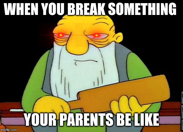 That's a paddlin' Meme | WHEN YOU BREAK SOMETHING; YOUR PARENTS BE LIKE | image tagged in memes,that's a paddlin' | made w/ Imgflip meme maker