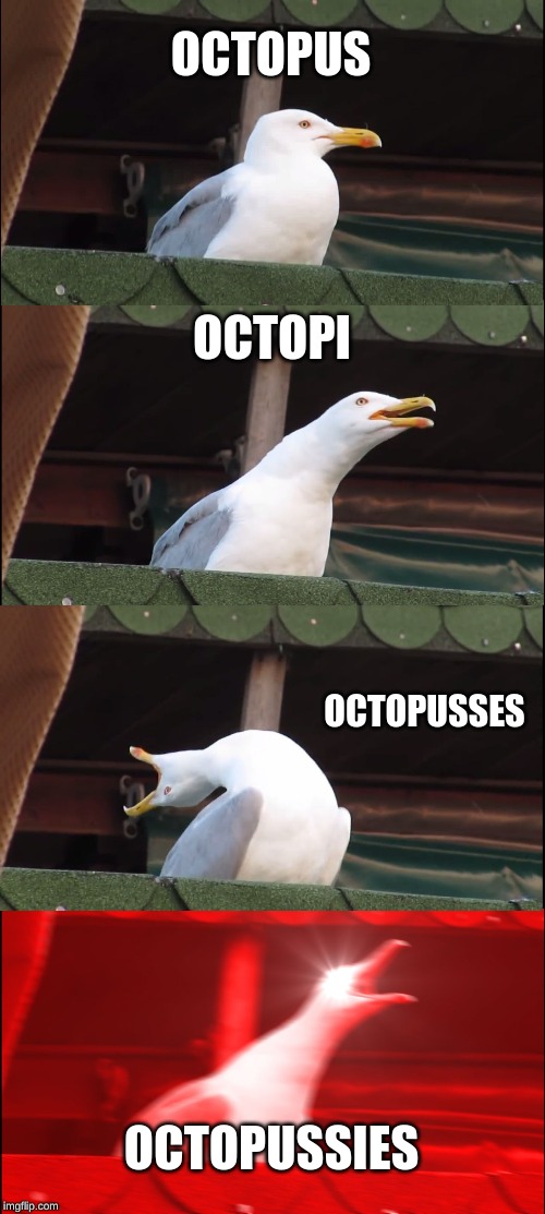 Inhaling Seagull | OCTOPUS; OCTOPI; OCTOPUSSES; OCTOPUSSIES | image tagged in memes,inhaling seagull | made w/ Imgflip meme maker