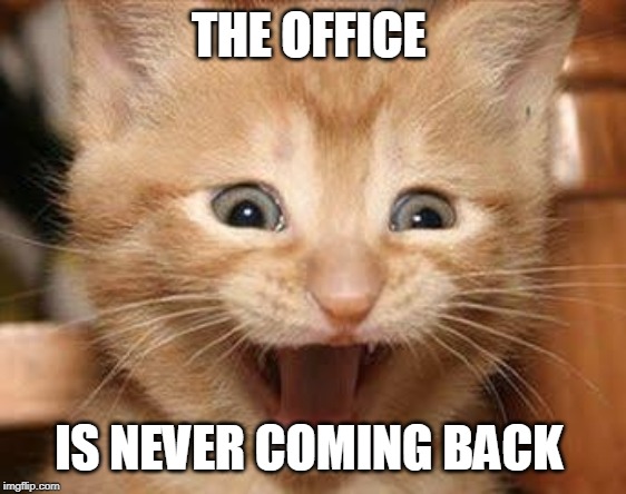 Excited Cat Meme | THE OFFICE; IS NEVER COMING BACK | image tagged in memes,excited cat | made w/ Imgflip meme maker