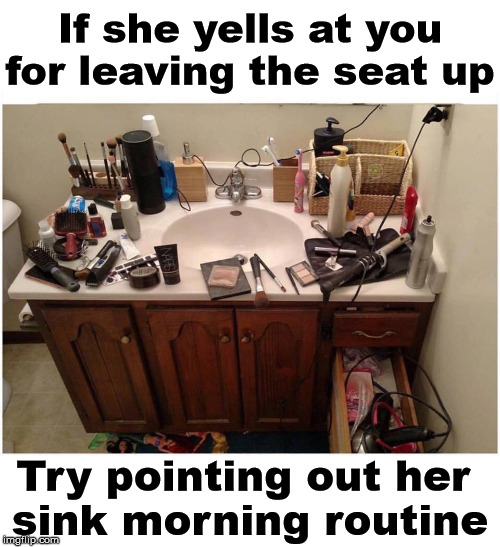 I am sure she will see your point and will be happy with you. | If she yells at you for leaving the seat up; Try pointing out her 
sink morning routine | image tagged in wife,girlfriend,sense of humor,understanding | made w/ Imgflip meme maker