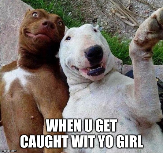 selfie dogs | WHEN U GET CAUGHT WIT YO GIRL | image tagged in selfie dogs | made w/ Imgflip meme maker