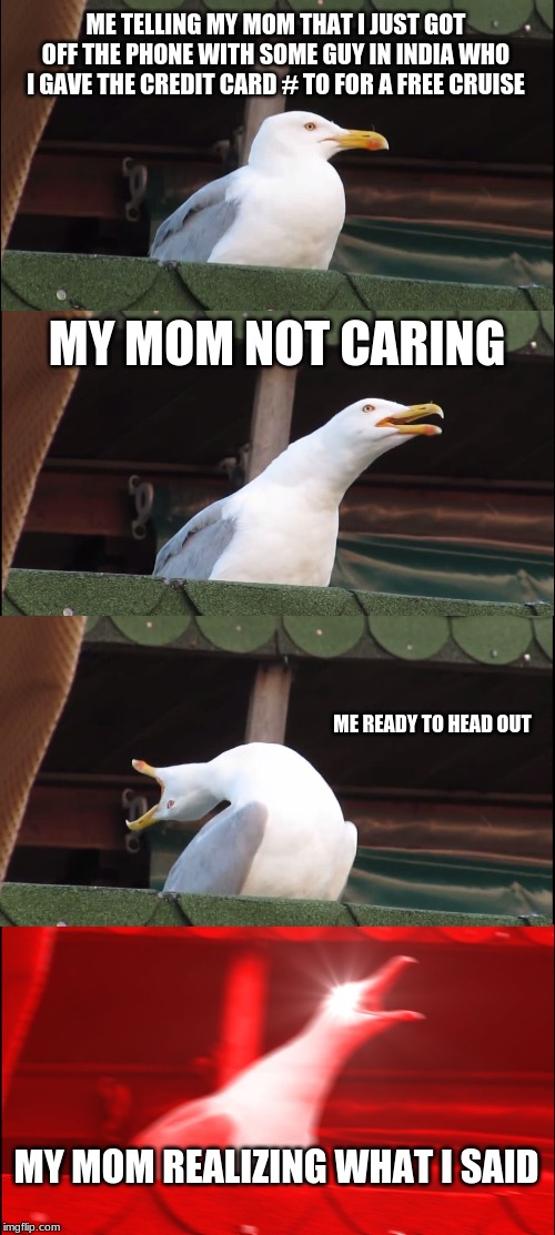 Inhaling Seagull | ME TELLING MY MOM THAT I JUST GOT OFF THE PHONE WITH SOME GUY IN INDIA WHO I GAVE THE CREDIT CARD # TO FOR A FREE CRUISE; MY MOM NOT CARING; ME READY TO HEAD OUT; MY MOM REALIZING WHAT I SAID | image tagged in memes,inhaling seagull | made w/ Imgflip meme maker