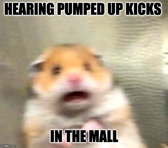 Scared Hamster | HEARING PUMPED UP KICKS; IN THE MALL | image tagged in scared hamster | made w/ Imgflip meme maker