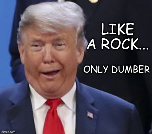 Like a Rock | LIKE A ROCK... ONLY DUMBER | image tagged in trump,dumb,idiot,moron | made w/ Imgflip meme maker