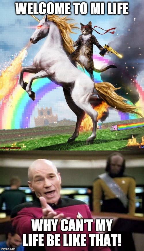 WELCOME TO MI LIFE; WHY CAN'T MY LIFE BE LIKE THAT! | image tagged in memes,picard wtf,welcome to the internets | made w/ Imgflip meme maker