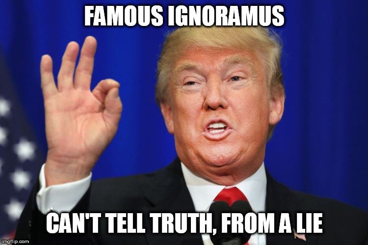 The Best Trump | FAMOUS IGNORAMUS; CAN'T TELL TRUTH, FROM A LIE | image tagged in the best trump | made w/ Imgflip meme maker