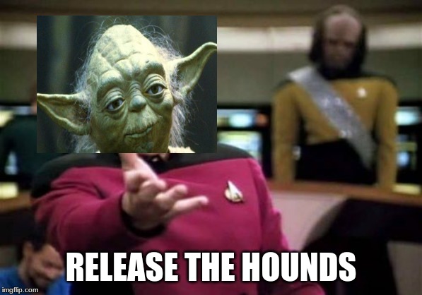 Picard Wtf | RELEASE THE HOUNDS | image tagged in memes,picard wtf | made w/ Imgflip meme maker