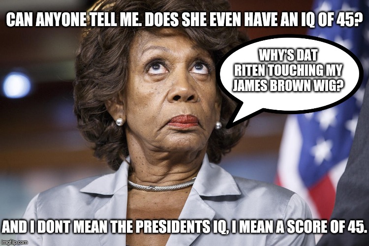 Maxine Water Korea | CAN ANYONE TELL ME. DOES SHE EVEN HAVE AN IQ OF 45? WHY'S DAT RITEN TOUCHING MY JAMES BROWN WIG? AND I DONT MEAN THE PRESIDENTS IQ, I MEAN A SCORE OF 45. | image tagged in maxine water korea | made w/ Imgflip meme maker