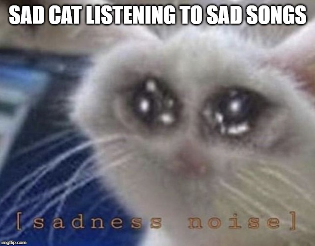 SAD CAT LISTENING TO SAD SONGS | image tagged in daddy | made w/ Imgflip meme maker