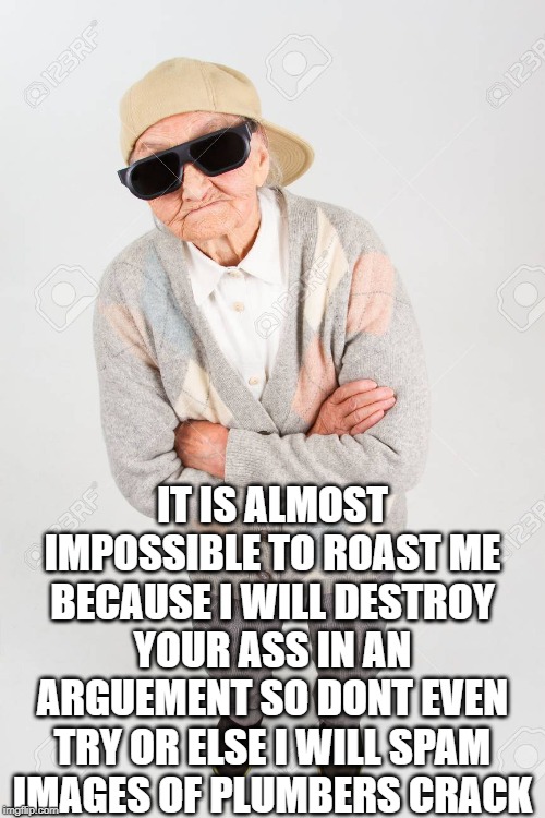 IT IS ALMOST IMPOSSIBLE TO ROAST ME BECAUSE I WILL DESTROY YOUR ASS IN AN ARGUEMENT SO DONT EVEN TRY OR ELSE I WILL SPAM IMAGES OF PLUMBERS CRACK | image tagged in like a boss | made w/ Imgflip meme maker