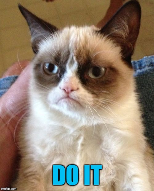 Grumpy Cat Meme | DO IT | image tagged in memes,grumpy cat | made w/ Imgflip meme maker