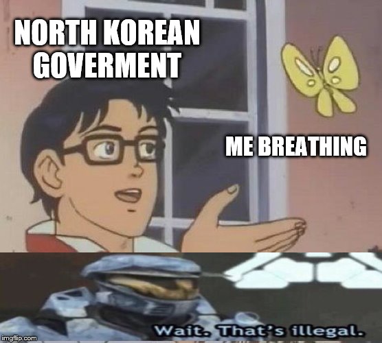 Is This A Pigeon Meme |  NORTH KOREAN GOVERMENT; ME BREATHING | image tagged in memes,is this a pigeon | made w/ Imgflip meme maker