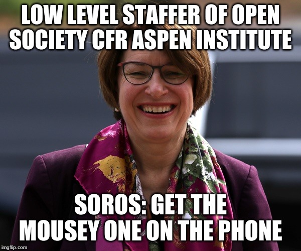 amy as seen in #resist uniform | LOW LEVEL STAFFER OF OPEN SOCIETY CFR ASPEN INSTITUTE; SOROS: GET THE MOUSEY ONE ON THE PHONE | image tagged in amy,klowbacher,cfr | made w/ Imgflip meme maker