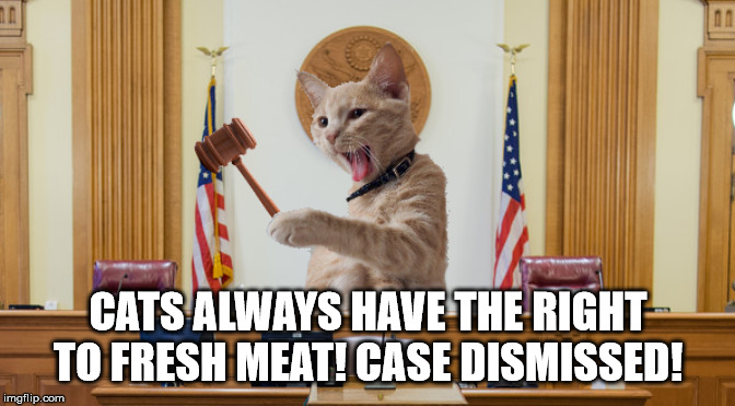 Judge Kitty | CATS ALWAYS HAVE THE RIGHT TO FRESH MEAT! CASE DISMISSED! | image tagged in judge kitty | made w/ Imgflip meme maker