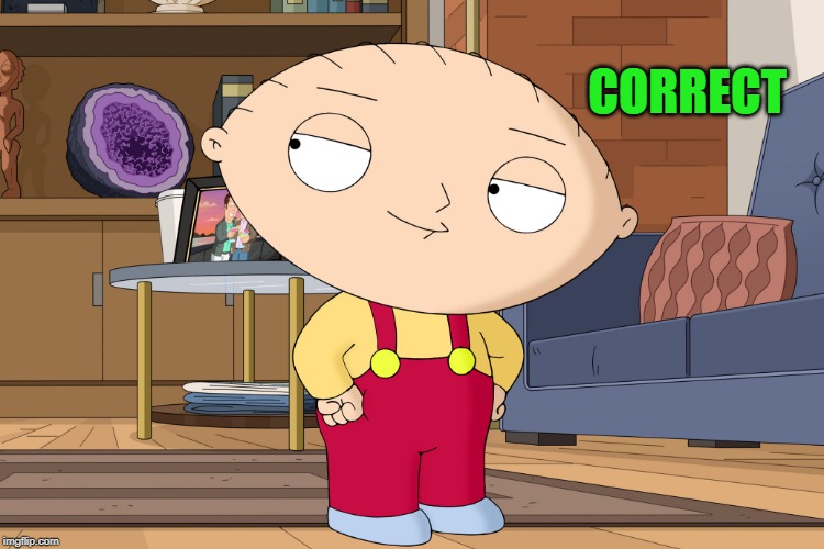 family guy | CORRECT | image tagged in family guy | made w/ Imgflip meme maker