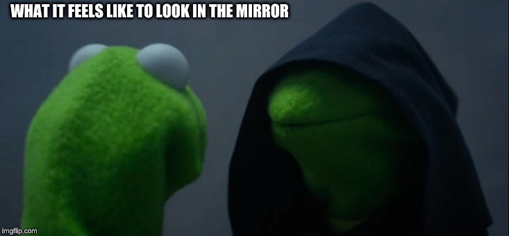 Evil Kermit | WHAT IT FEELS LIKE TO LOOK IN THE MIRROR | image tagged in memes,evil kermit | made w/ Imgflip meme maker