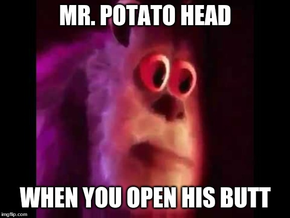 Sully Groan | MR. POTATO HEAD; WHEN YOU OPEN HIS BUTT | image tagged in sully groan | made w/ Imgflip meme maker