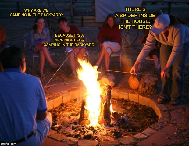 campfire | THERE’S A SPIDER INSIDE THE HOUSE, ISN’T THERE? WHY ARE WE CAMPING IN THE BACKYARD? BECAUSE IT’S A NICE NIGHT FOR CAMPING IN THE BACKYARD. | image tagged in campfire | made w/ Imgflip meme maker
