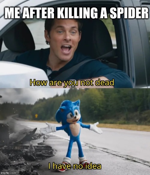 ME AFTER KILLING A SPIDER | image tagged in sonic movie,spider | made w/ Imgflip meme maker