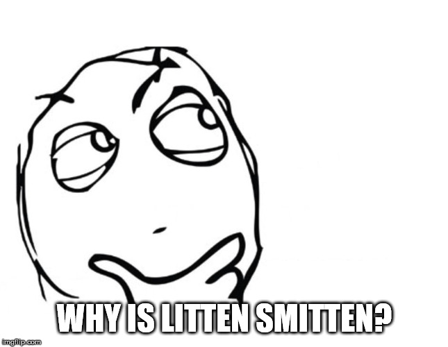 hmmm | WHY IS LITTEN SMITTEN? | image tagged in hmmm | made w/ Imgflip meme maker