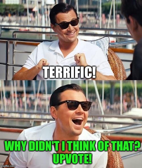 Leonardo Dicaprio Wolf Of Wall Street Meme | TERRIFIC! WHY DIDN'T I THINK OF THAT?
UPVOTE! | image tagged in memes,leonardo dicaprio wolf of wall street | made w/ Imgflip meme maker