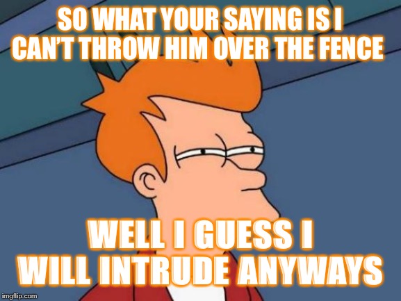 Intrusion | SO WHAT YOUR SAYING IS I CAN’T THROW HIM OVER THE FENCE; WELL I GUESS I WILL INTRUDE ANYWAYS | image tagged in memes,futurama fry | made w/ Imgflip meme maker