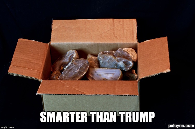 As dumb as a box of rocks. | SMARTER THAN TRUMP | image tagged in as dumb as a box of rocks | made w/ Imgflip meme maker