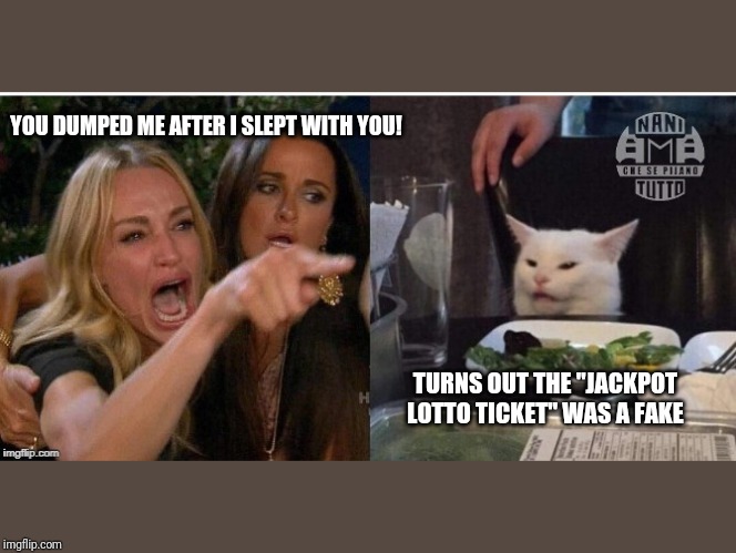 white cat table | YOU DUMPED ME AFTER I SLEPT WITH YOU! TURNS OUT THE "JACKPOT LOTTO TICKET" WAS A FAKE | image tagged in white cat table | made w/ Imgflip meme maker