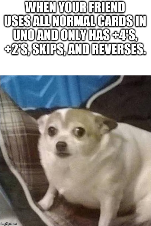Scared Puppy | WHEN YOUR FRIEND USES ALL NORMAL CARDS IN UNO AND ONLY HAS +4'S, +2'S, SKIPS, AND REVERSES. | image tagged in scared puppy | made w/ Imgflip meme maker