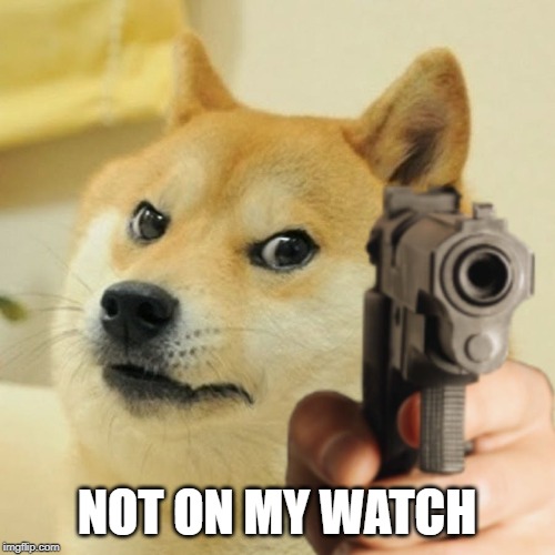 Doge holding a gun | NOT ON MY WATCH | image tagged in doge holding a gun | made w/ Imgflip meme maker