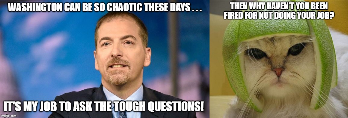 Chuck Todd Meets the Cat In the Lime Football Helmet | image tagged in chuck todd,chuckles the clown,cat in the lime football helmet | made w/ Imgflip meme maker