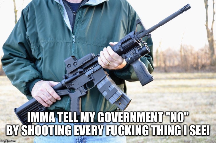 IMMA TELL MY GOVERNMENT "NO" BY SHOOTING EVERY F**KING THING I SEE! | made w/ Imgflip meme maker
