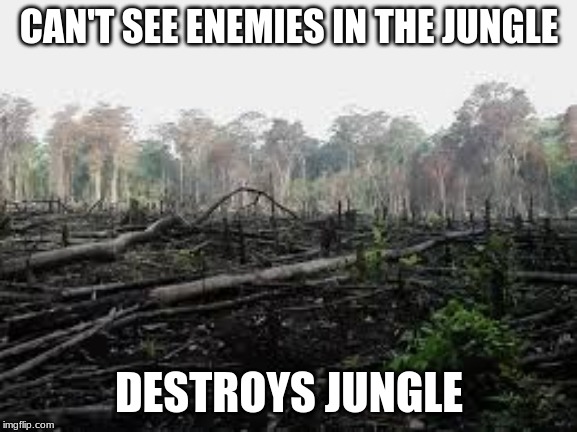 Vietnam Jungle | CAN'T SEE ENEMIES IN THE JUNGLE; DESTROYS JUNGLE | image tagged in vietnam | made w/ Imgflip meme maker