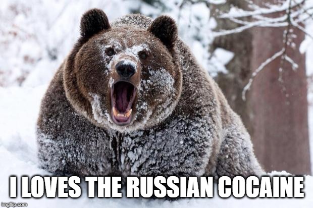 Cocaine bear | I LOVES THE RUSSIAN COCAINE | image tagged in cocaine bear | made w/ Imgflip meme maker