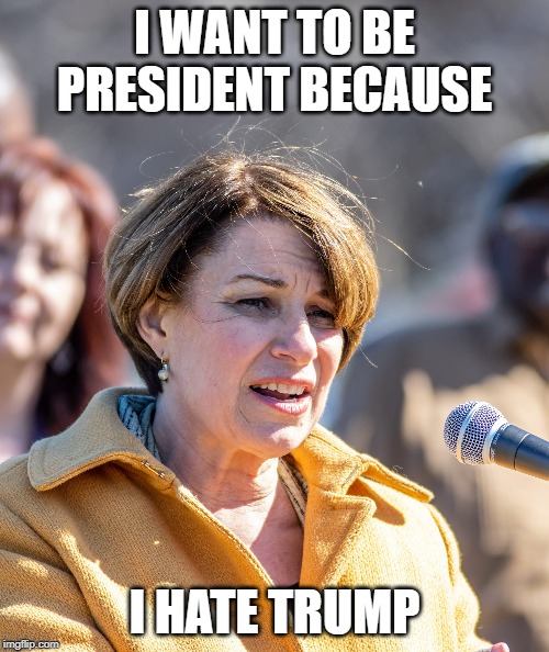 Amy | I WANT TO BE PRESIDENT BECAUSE; I HATE TRUMP | image tagged in amy | made w/ Imgflip meme maker
