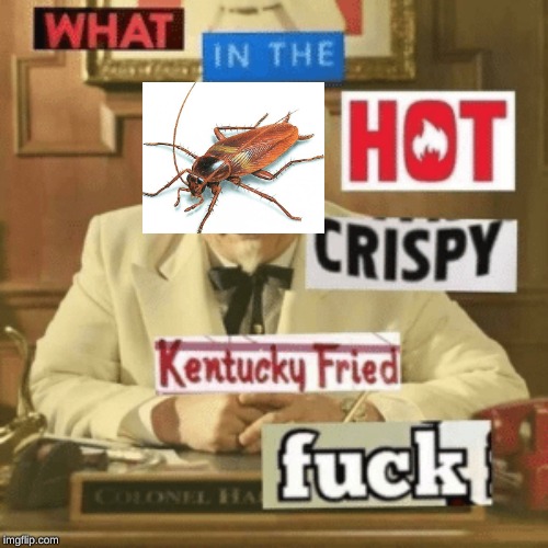 What in the Hot crispy Kentucky Fried Fuck? | image tagged in what in the hot crispy kentucky fried fuck | made w/ Imgflip meme maker