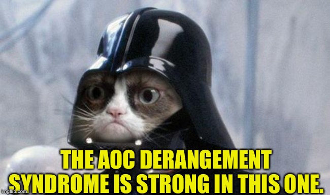 Grumpy Cat Star Wars Meme | THE AOC DERANGEMENT SYNDROME IS STRONG IN THIS ONE. | image tagged in memes,grumpy cat star wars,grumpy cat | made w/ Imgflip meme maker