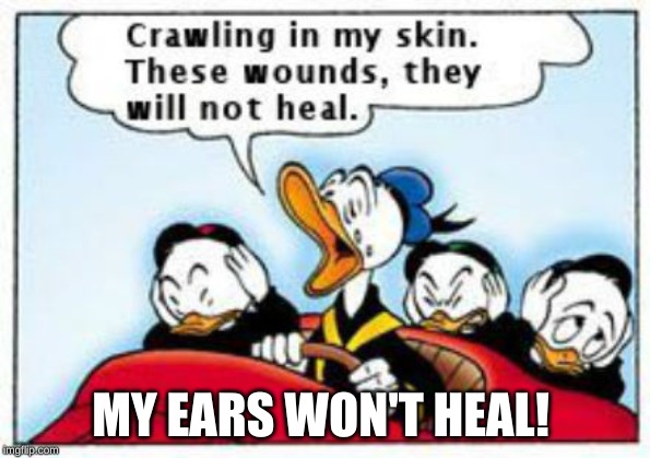 Donld Duck singing | MY EARS WON'T HEAL! | image tagged in donld duck singing | made w/ Imgflip meme maker