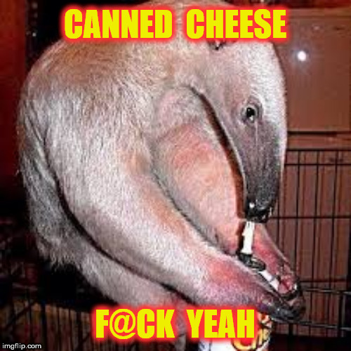 CANNED  CHEESE F@CK  YEAH | made w/ Imgflip meme maker