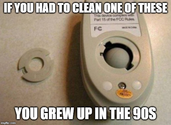 Dirty Mouse | IF YOU HAD TO CLEAN ONE OF THESE; YOU GREW UP IN THE 90S | image tagged in 1990s first world problems | made w/ Imgflip meme maker