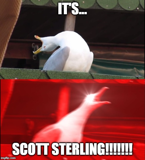 Screaming bird | IT'S... SCOTT STERLING!!!!!!! | image tagged in screaming bird | made w/ Imgflip meme maker