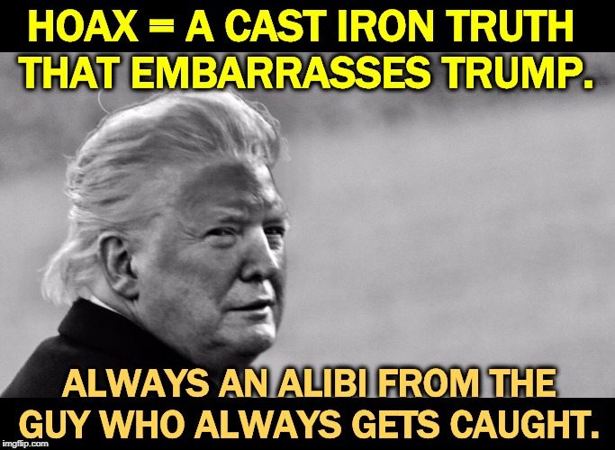 Beneath all the bluster, Trump is a weak man. Only men weaker than him consider Trump strong. | HOAX = A CAST IRON TRUTH 
THAT EMBARRASSES TRUMP. ALWAYS AN ALIBI FROM THE GUY WHO ALWAYS GETS CAUGHT. | image tagged in trump,hoax,truth,weakness,paranoid | made w/ Imgflip meme maker