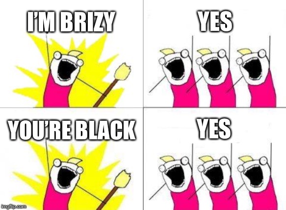 What Do We Want Meme | I’M BRIZY; YES; YOU’RE BLACK; YES | image tagged in memes,what do we want | made w/ Imgflip meme maker